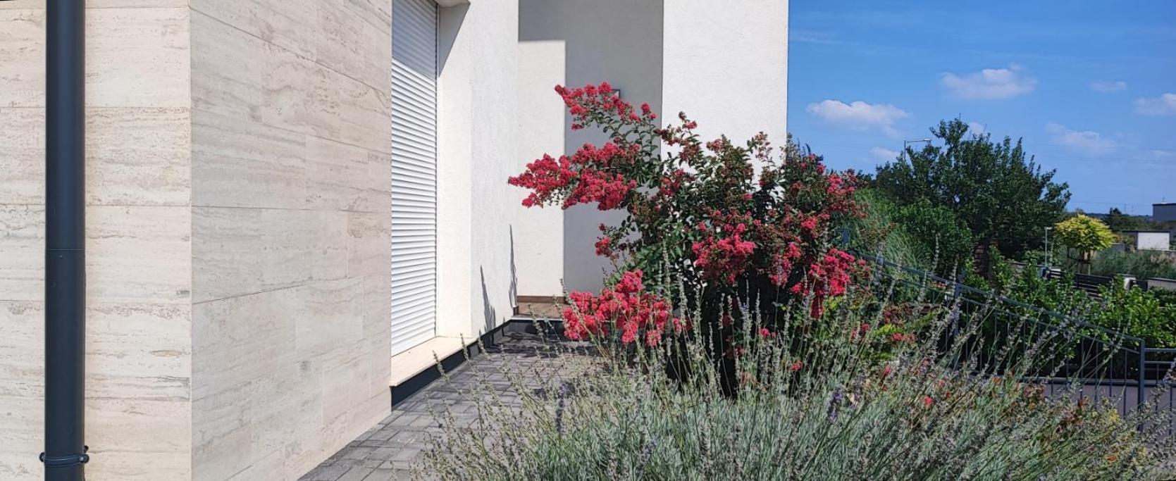 Apartament White Column House Diosd Zewnętrze zdjęcie